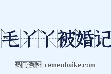 毛丫丫被婚记是什么意思的图片